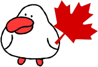 A minimalist white bird character holding a bright red maple leaf, representing about caduck news